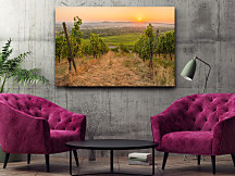 Obraz na stenu Vinice